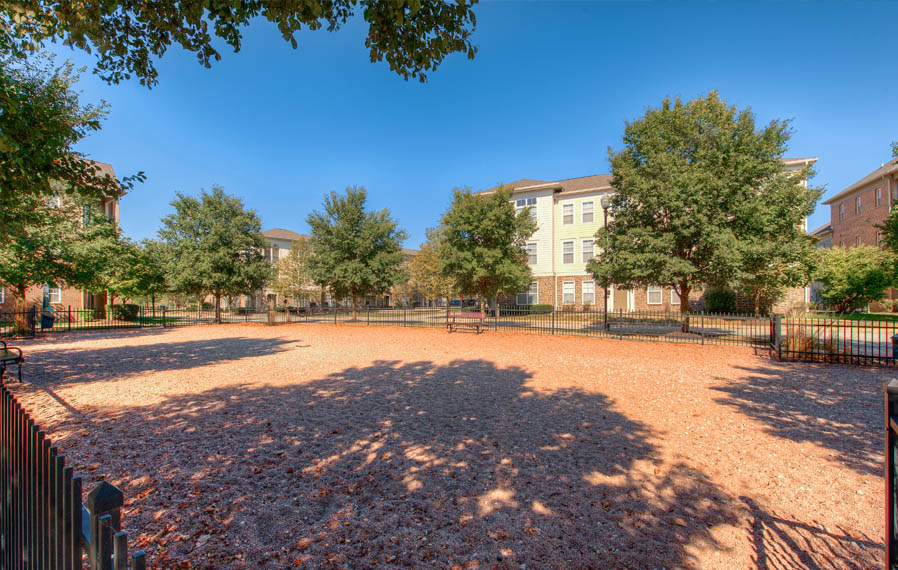 Wide open dog park at Zionsville apartments.